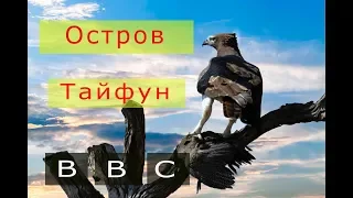 BBC  ДИКАЯ ПРИРОДА Остров тайфунов