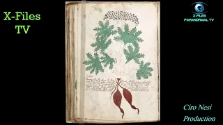 MISTERIOSO MANOSCRITTO VOYNICH X-FILES PARANORMAL TV