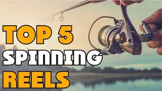 Best Spinning Reels of 2024 | Spinning Reels Buying Guide