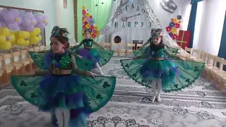 WELCOME TO NAVRUZ.  Dance like peacock 🦚