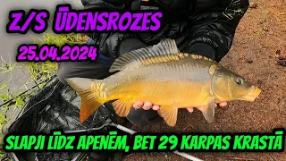 Karpu cope Z/S Ūdensrozes. 🐠🐠🐠