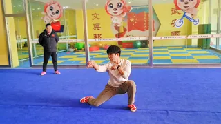 Mantis style is back - Wushu Tanglangquan