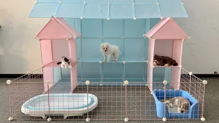 Assembling doll houses for Pomeranian Poodle dog & Bibi Kitten - Funny Dog Video - Mr Pet Family #37