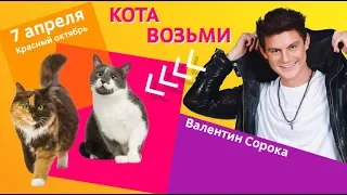 Love Radio  на выставке "Всем по котику"