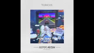 Toricos feat Magnus - More Than This (Original Mix)