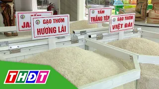 Giá gạo xuất khẩu đang cao nhất mọi thời đại | THDT