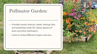 Create a Bird & Pollinator Friendly Garden EnviroHouse Webinar