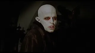 Il nichilismo del vampiro in "Nosferatu" (Herzog, 1979) | Vampire movies