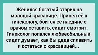 Старик Привел Молодую Жену к Гинекологу! Сборник Свежих Смешных Жизненных Анекдотов!