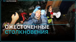 Столкновения между пропалестинскими и произраильскими активистами в университете Лос-Анджелеса