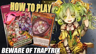 Traptrix In Depth | How to Play Beware of Traptrix Structure Deck