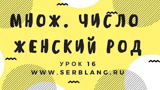 Сербский язык. Урок 16. Множ число женский род