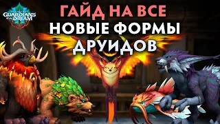 ПОЛУЧАЕМ ВСЕ НОВЫЕ ФОРМЫ ДРУИДА | ОБЗОР + РУКОВОДСТВО | Патч 10.2 WoW: Dragonflight 🌱