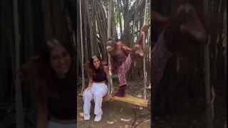 Woman poses for pictures with an orangutan!