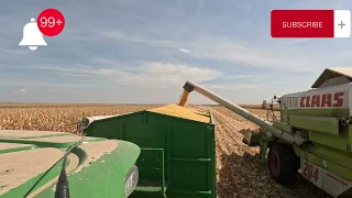 Un nou record la #Porumb ! #dekalb #dailyvlog #johndeere #fy #agrovlogs #agro #agronomia #agronomy