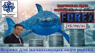 Аналитика рынка форекс на сегодня (15.09.21). Прогноз евро доллар, фунт, золото. Перспективы рубля.