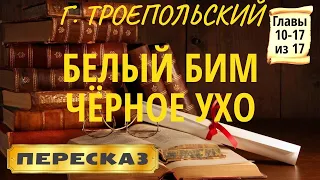 Белый Бим Чёрное ухо. Гавриил Троепольский. (Главы 10-17 из 17)