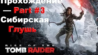 Rise of the Tomb Raider Прохождение — Part #3 Сибирская Глушь