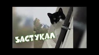 BugagaTV ЗАСТУКАЛ   Апрель # 4