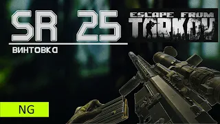 Обзор на винтовку SR 25 в Escape from Tarkov, дешево и эффективно!