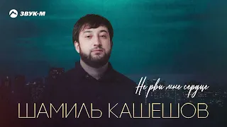 Шамиль Кашешов - Не рви мне сердце | Премьера трека 2022