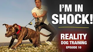 I DIDN’T KNOW what I was getting into…  [Reality Dog Training Ep 10]