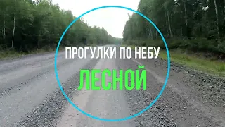 Лесной