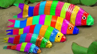 Stop motion Cooking ASMR | Colorful koi fish hunt purple catfish for eel revenge | Fish stop motion
