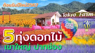 5 ทุ่งดอกไม้สุดสวยงาม ที่เขาใหญ่ ปากช่อง ต้อนรับปีใหม่2567  ที่ไม่ต้องไปไกลถึงภาคเหนือ  มีที่ไหนบ้าง