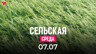 Сельская среда 07.07.2021