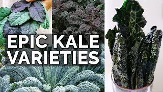 STOP Growing Boring Kale! 10 Kale Varieties to Plant NOW