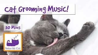 Relaxation Music to Calm Your Cat During Grooming or Bathing! 🐱 #GROOM02