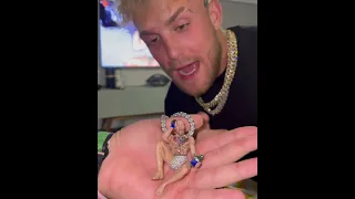 Jake Paul sends message to Conor McGregor and flex McGregor Chain. "Don't loose Conor.