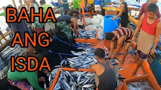 Baha Ang isda sinabayan pa Ng sibad ng Tuna