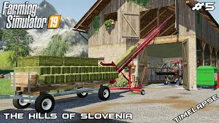 Stacking bales in hayloft & animal care | The Hills Of Slovenia | Farming Simulator 2019 | Episode 5