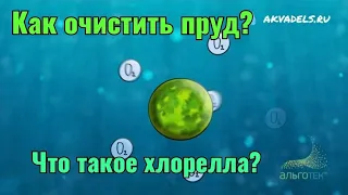 #Хлорелла - Препарат против роста водорослей в пруду. Насыщает воду кислородом‼️  АкваДелс-Казань