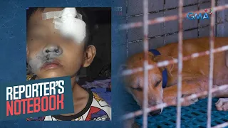 Tumataas na kaso ng rabies sa bansa, paano nga ba masosolusyunan? | Reporter’s Notebook