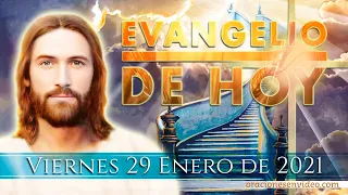 Evangelio de HOY. Viernes 29 de enero 2021. Mc 4,26-34 La semilla de mostaza.