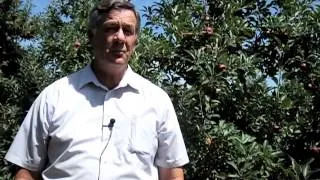 Terence Robinson on Tall Spindle Growing Systems — FGNtv