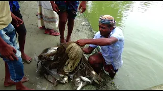 Unbelievable cast net fishing videos। Catching Lot of fish by cast net। fishing with a cast net