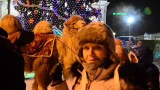 Тюмень: суровый сибирский верблюд