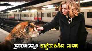 HACHI Movie Explained In Kannada  • dubbed kannada movies story explained review #kannada