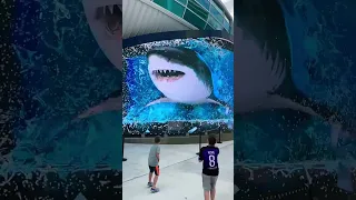 SHARKS ATTACK! Incredible 3D Billboard in Nassau