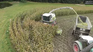 Maishäckseln am Limit | Matsch, Regen, Wind, Wildschweine | Claas Jaguar 970 - LU Zintl