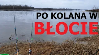 jakie ryby biorą NA OPADAJĄCEJ WODZIE - luty nad Wisłą / odc. 162