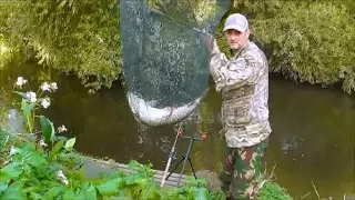 BARBEL FISHING RIVER DON YORKSHIRE - VIDEO 48