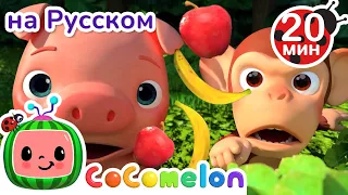 Яблоки или бананы?🍌🍎 | CoComelon на русском — Детские песенки