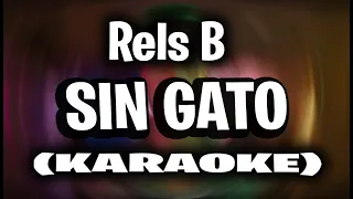 Rels B - Sin Gato (MIAU!) (KARAOKE)