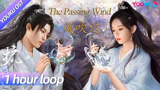 ENGSUB【OST】刘宇宁演唱《护心》片尾曲《风吹过》"The Passing Wind" 🌬️ | 护心 Back From The Brink | 侯明昊/周也 | YOUKU OST