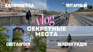 VLOG: ЖИЗНЬ В КАЛИНИНГРАДЕ💖🌊 Показываю любимые места подружке. Зеленоградск, Светлогорск, Янтарный